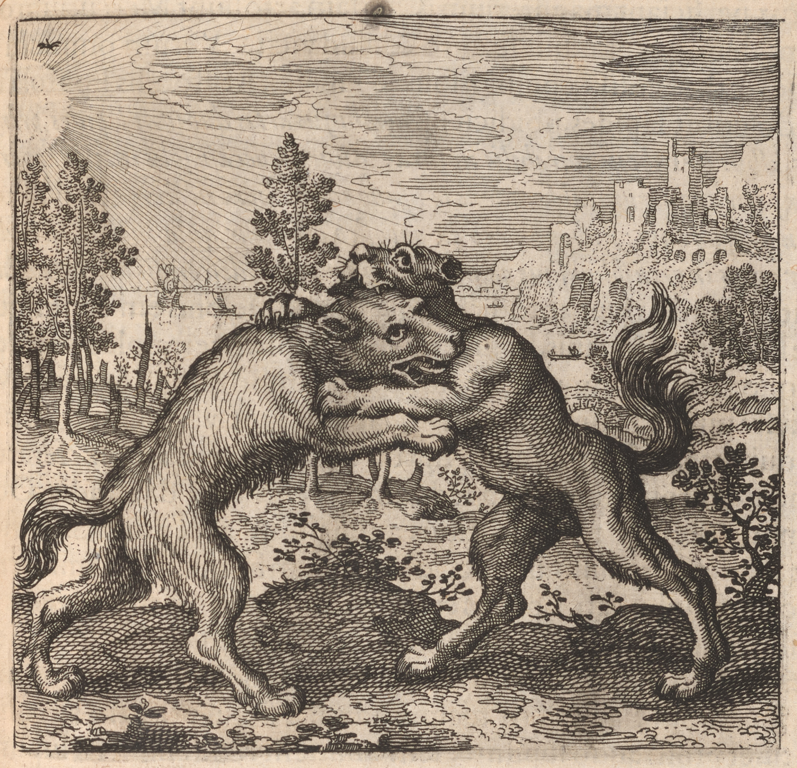 Emblem XLVII