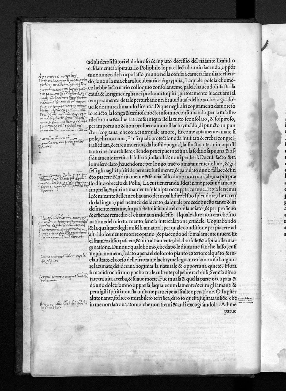 Folio a6r
