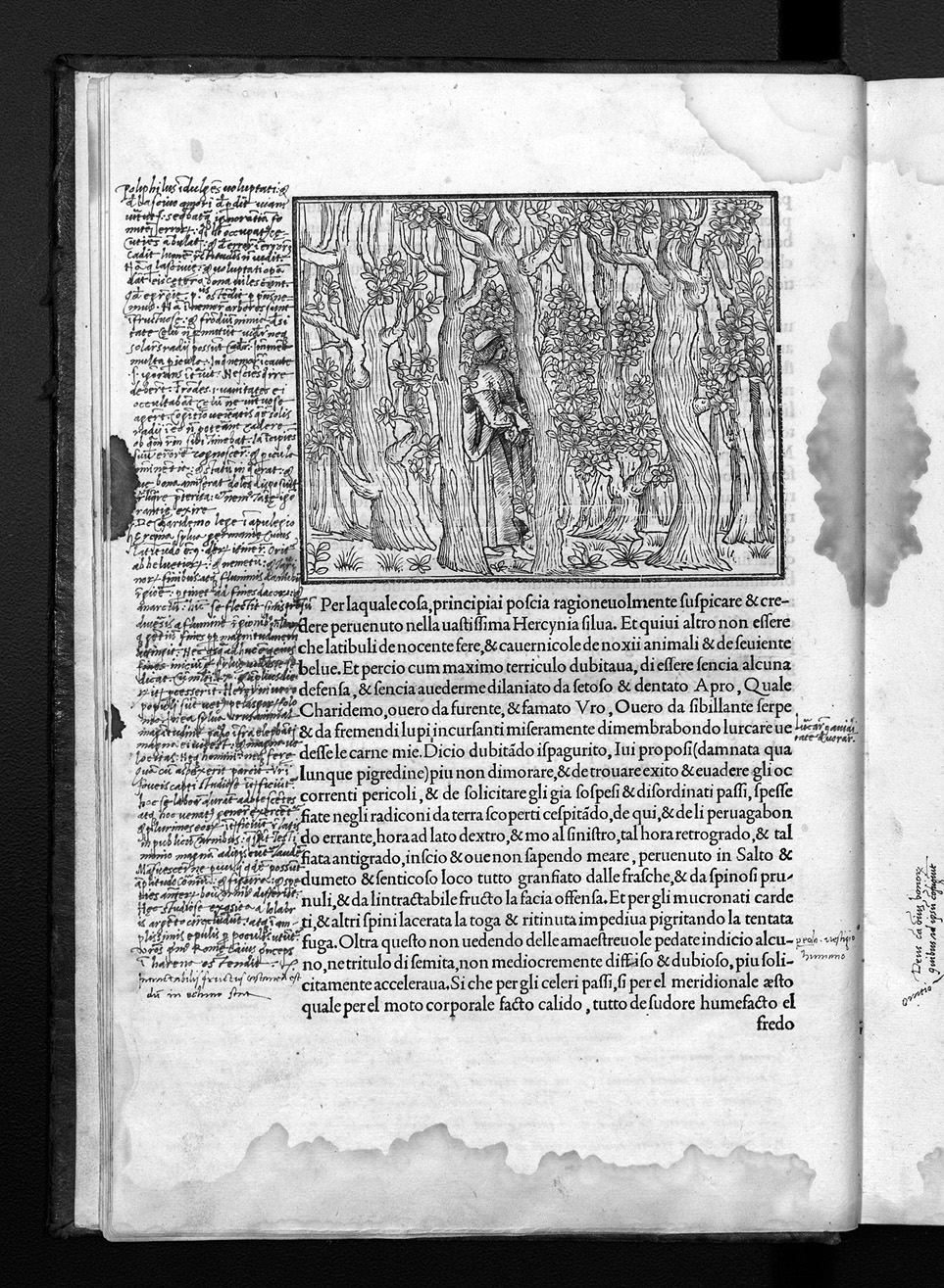 Folio a7r