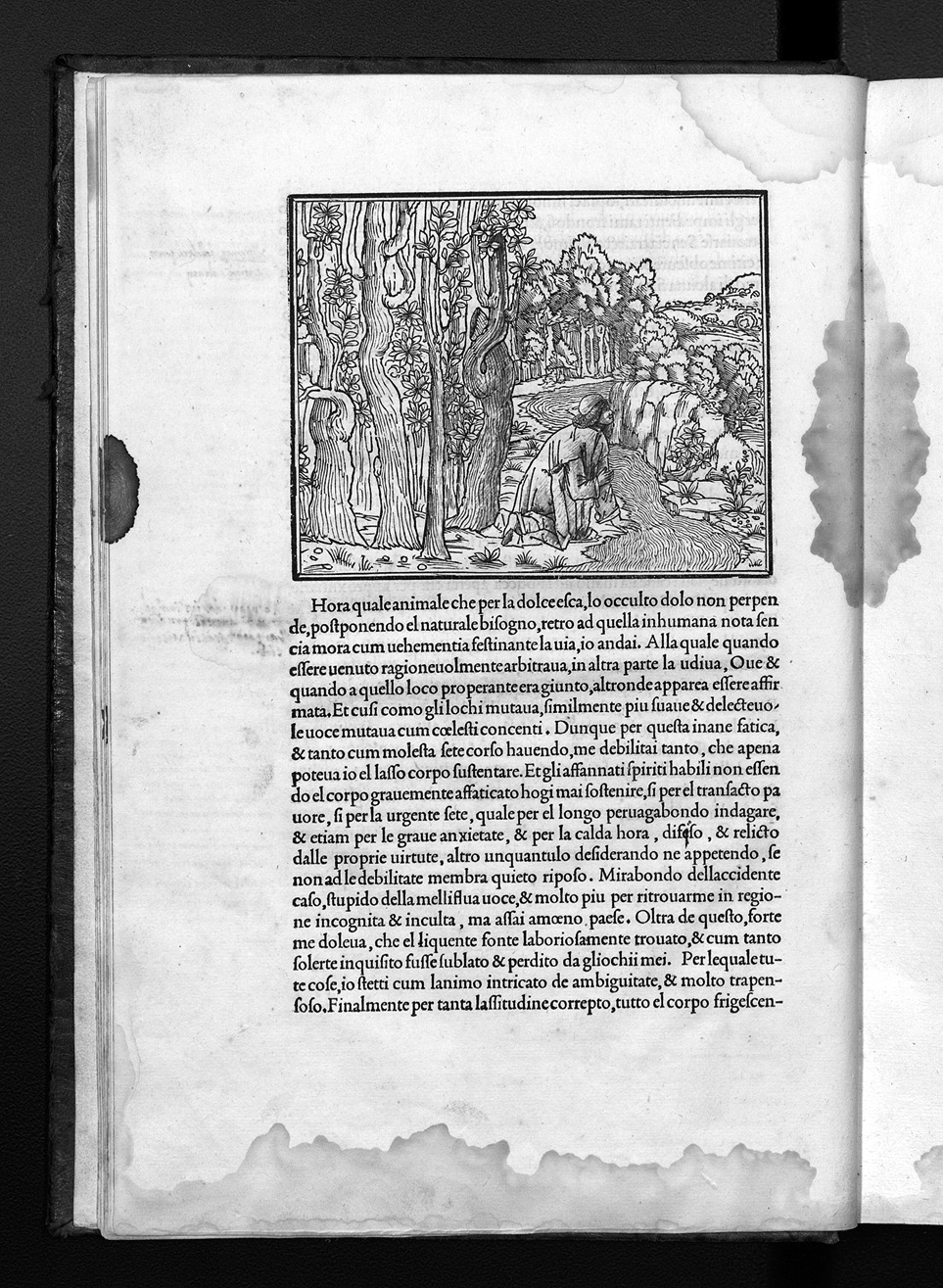 Folio b1r