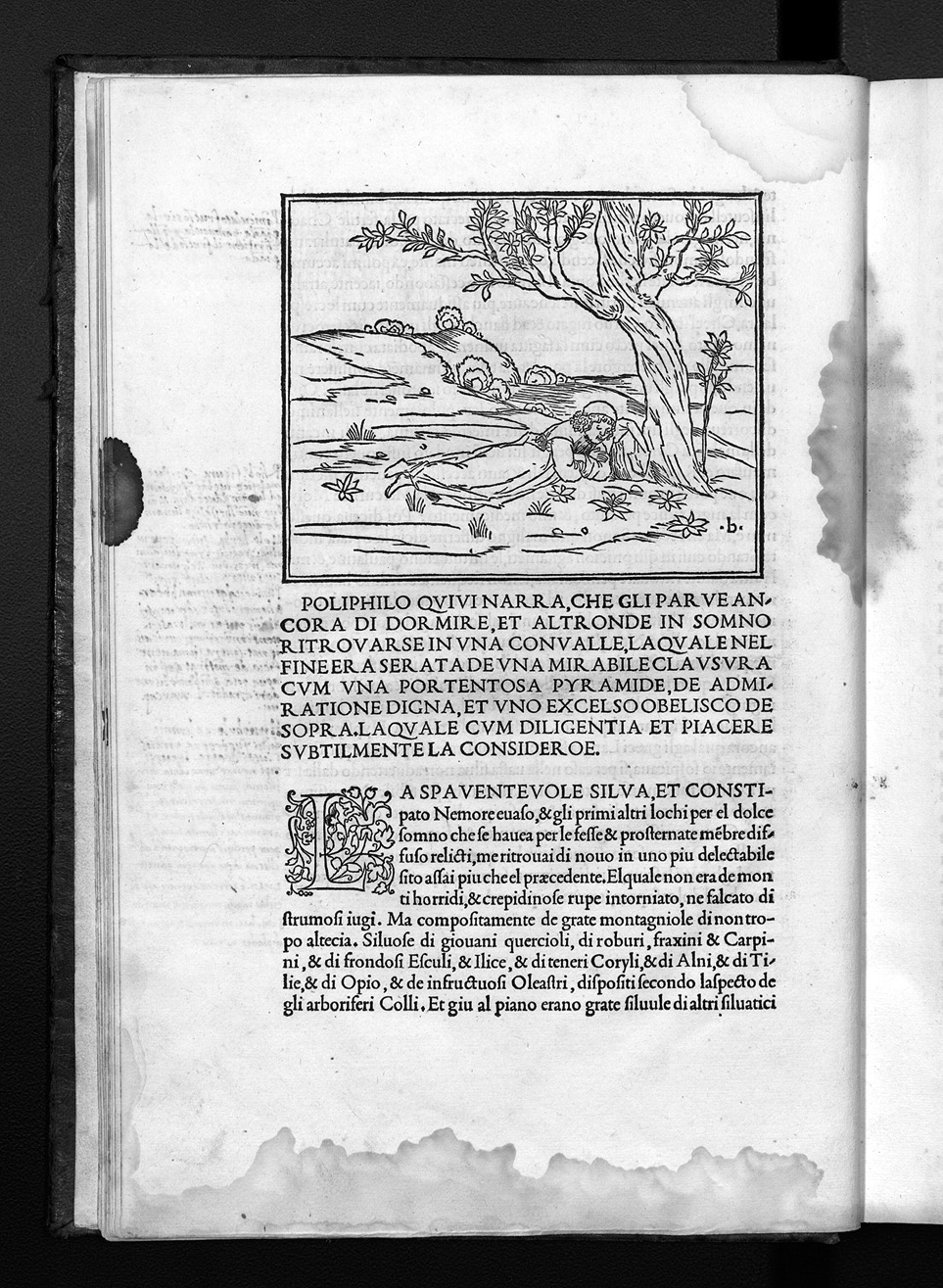Folio b2r