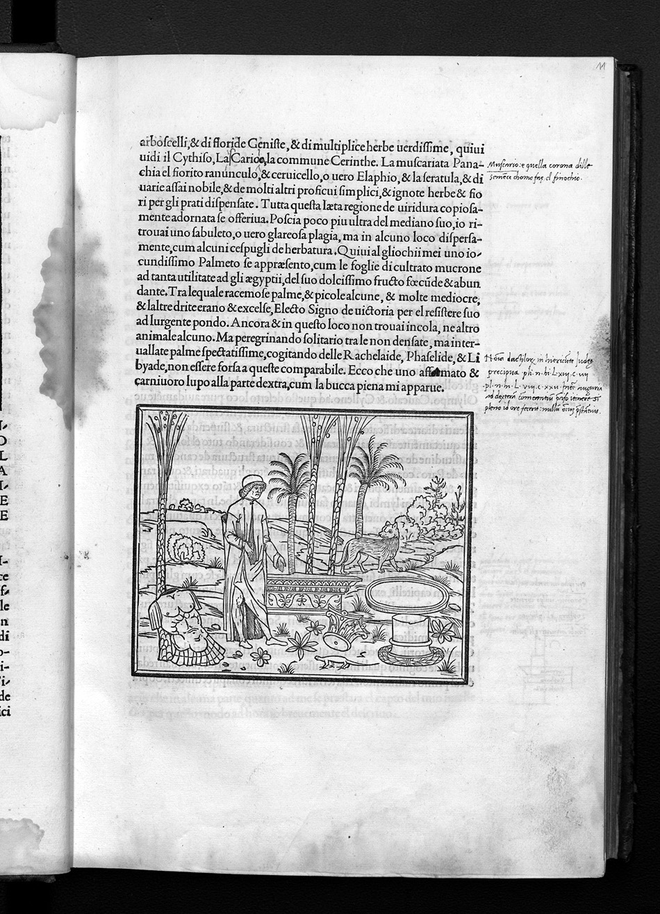 Folio b3r