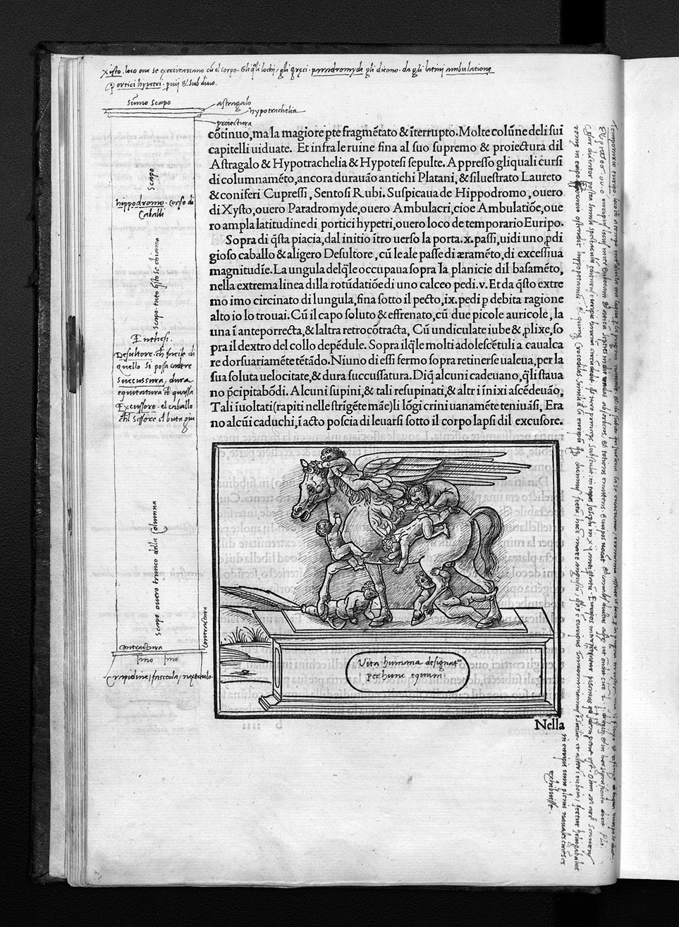 Folio b8r
