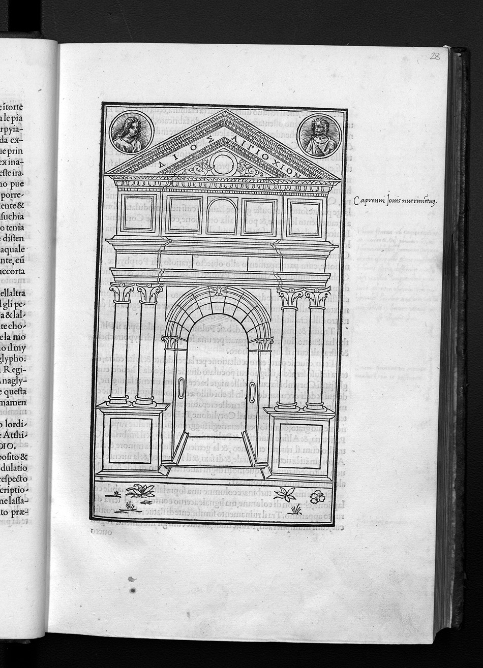Folio d4r