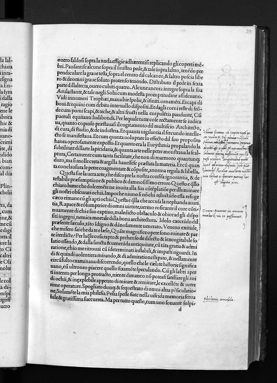 Folio d5r