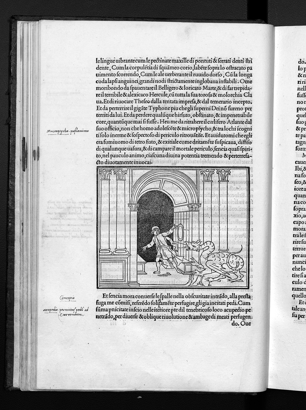 Folio d7r