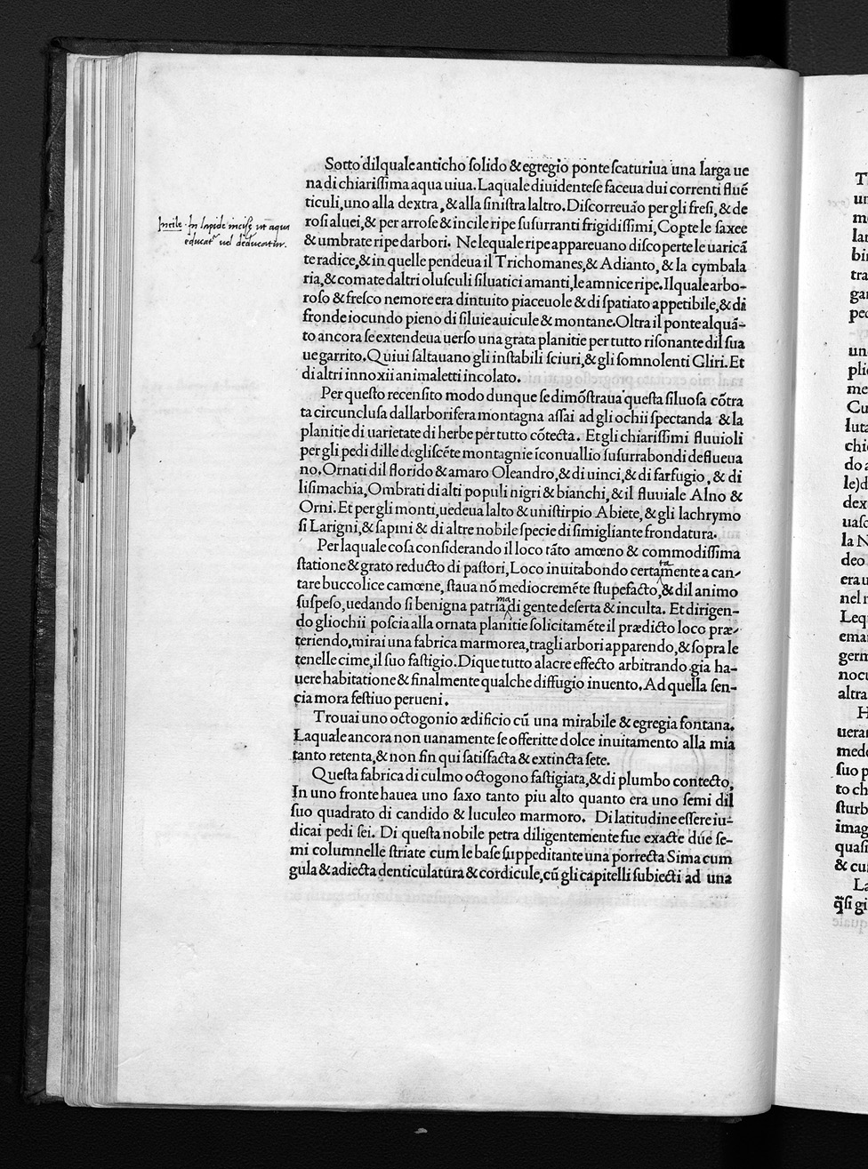 Folio e3v