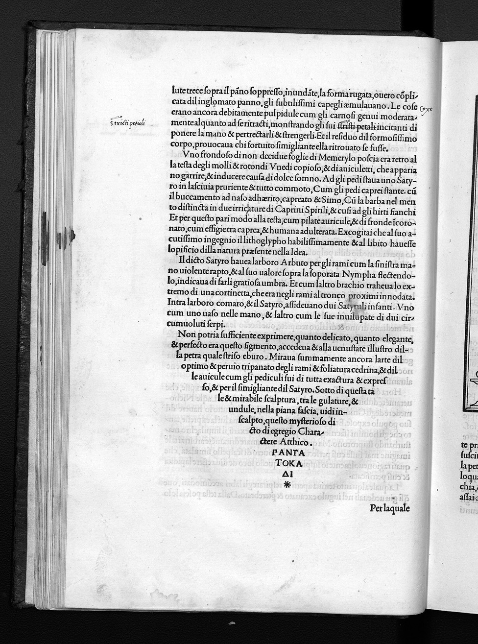 Folio e4v