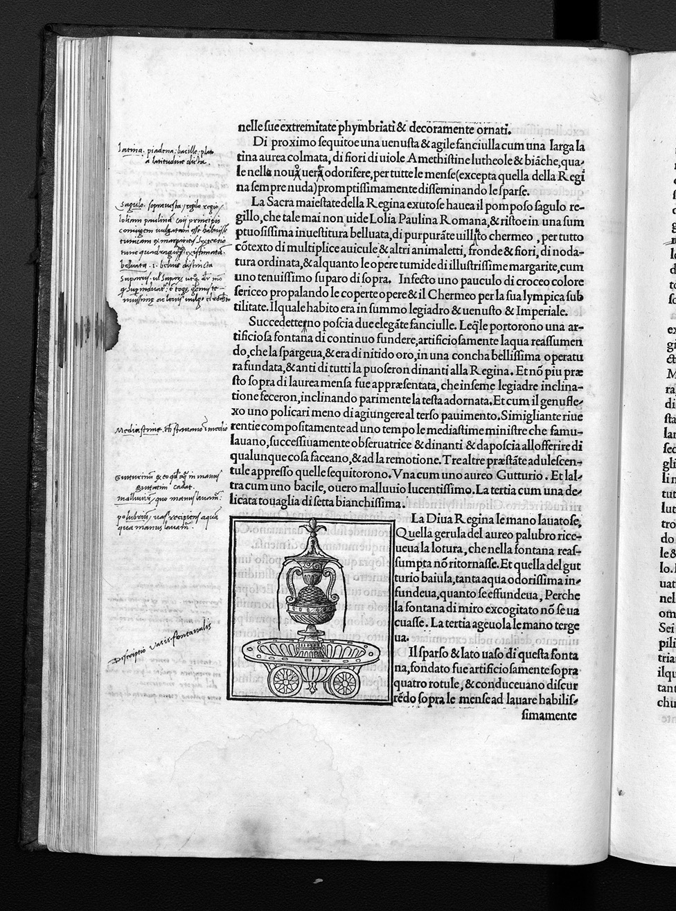 Folio g4r