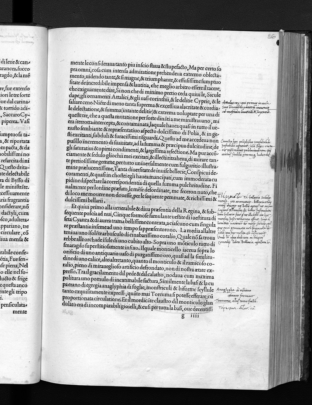 Folio g8v