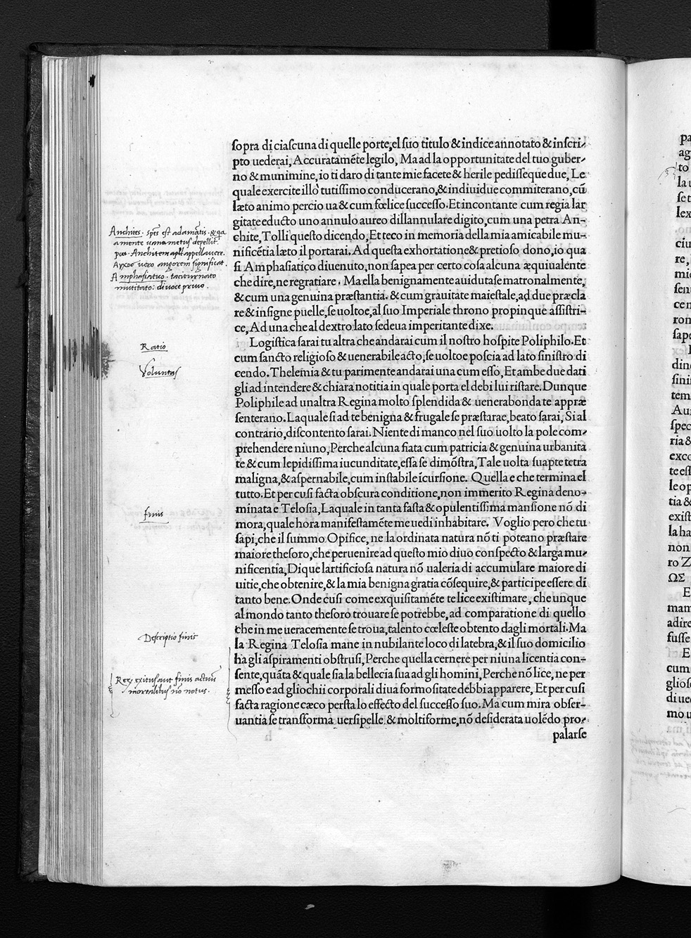 Folio h5r