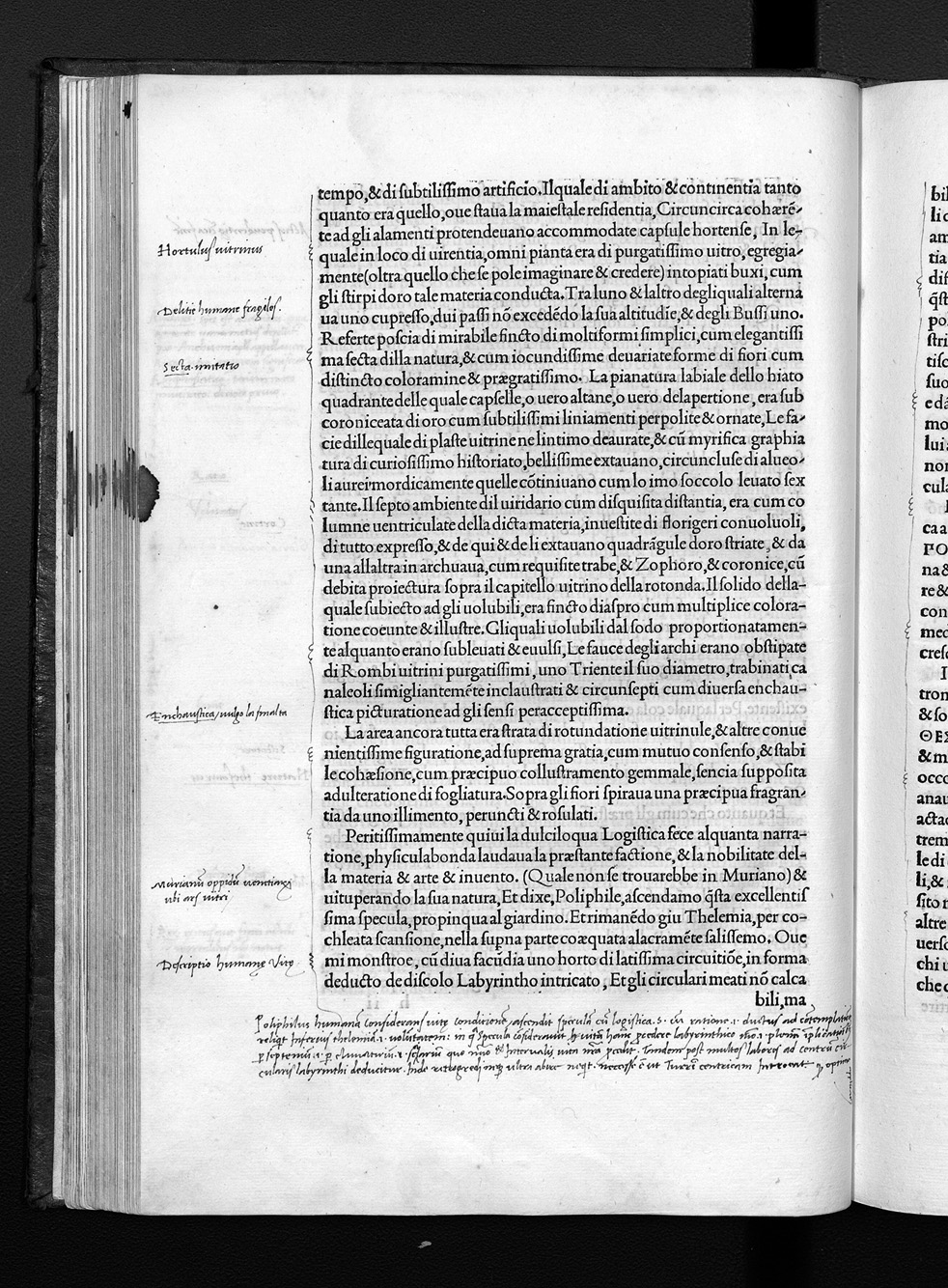 Folio h6v