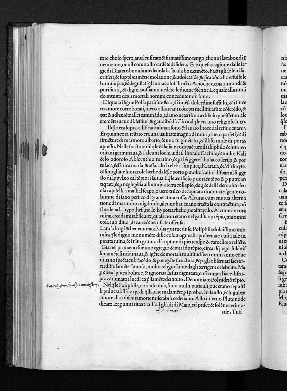 Folio p6v