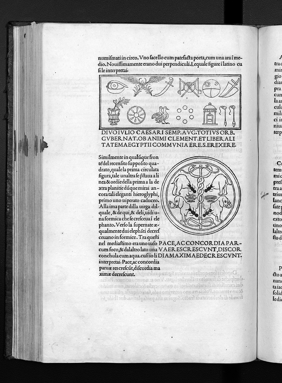 Folio q2v
