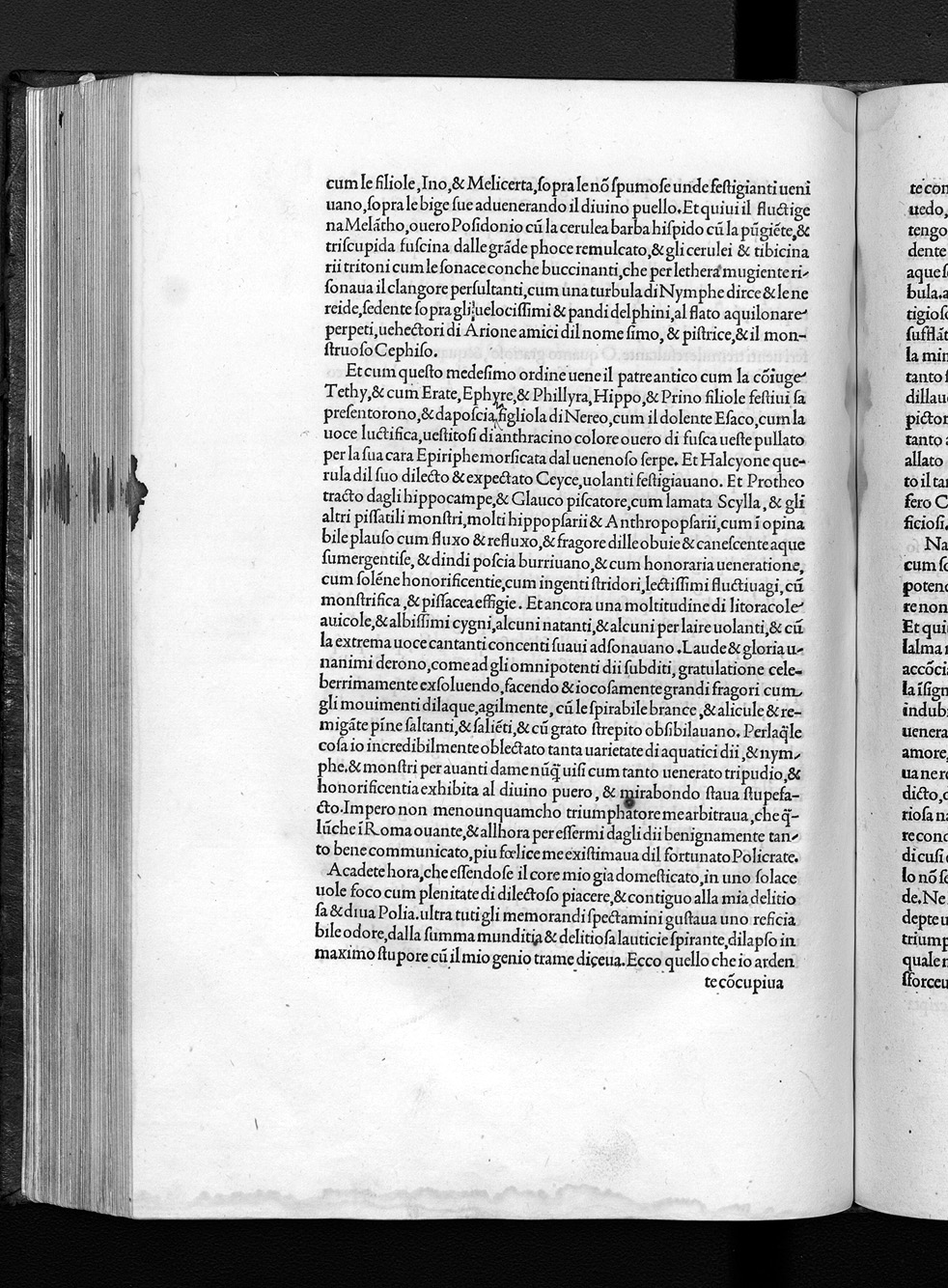 Folio s4r