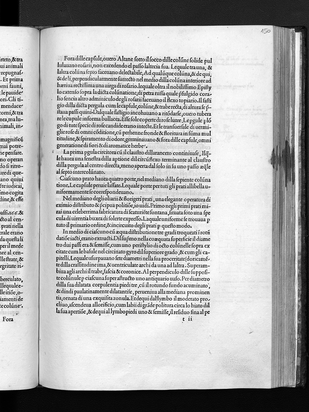 Folio t6r
