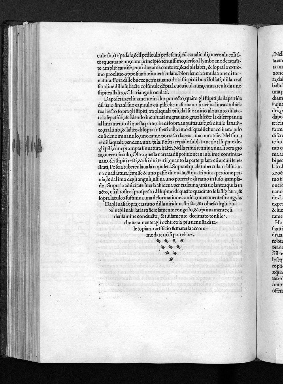 Folio t6r