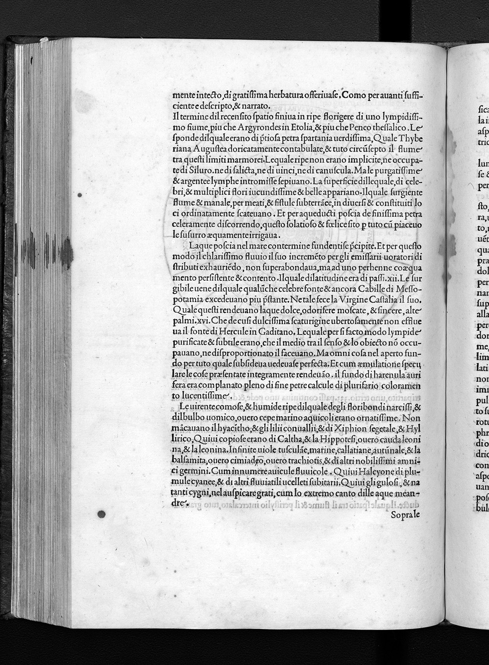 Folio x4v