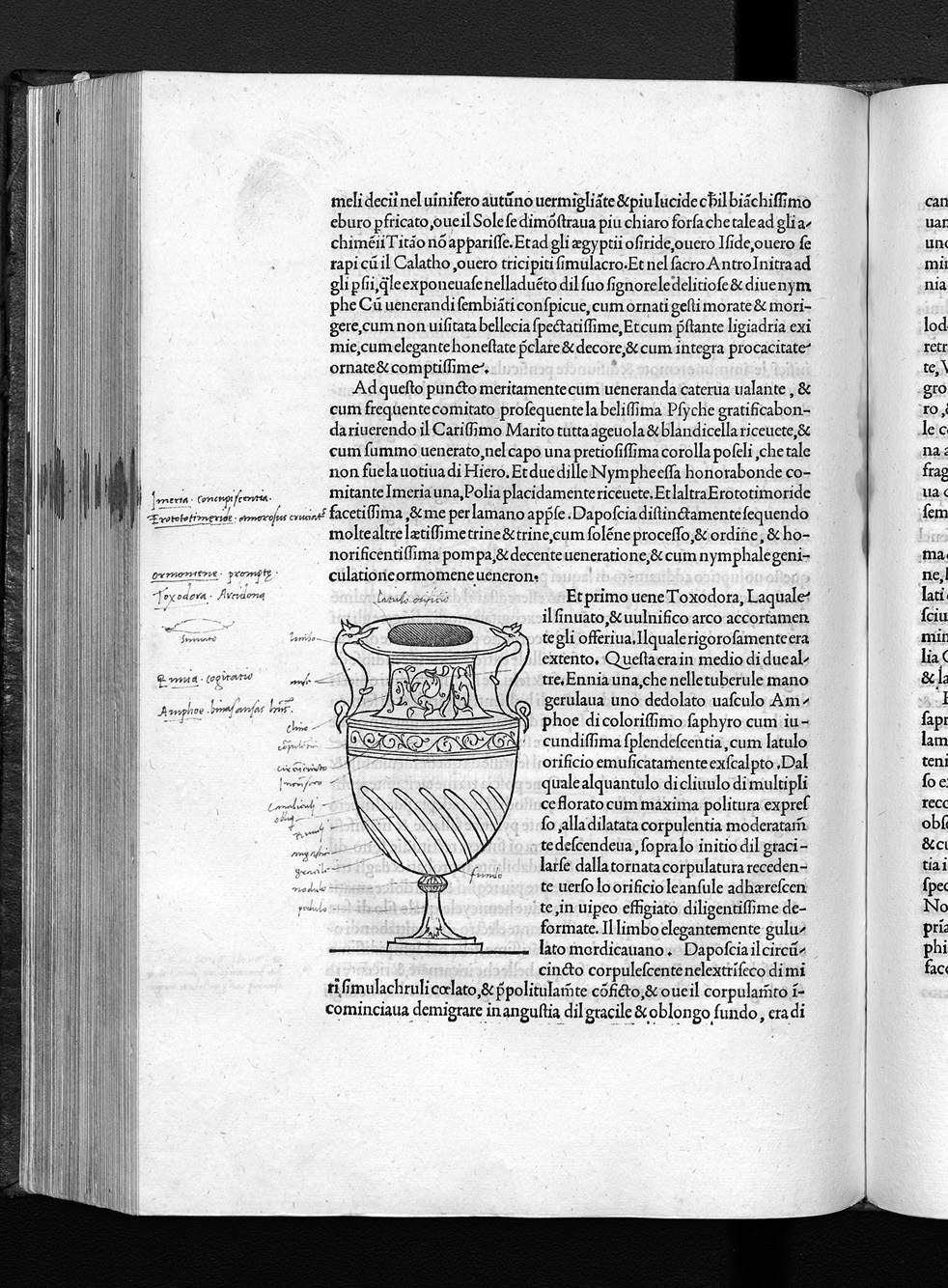 Folio z1r