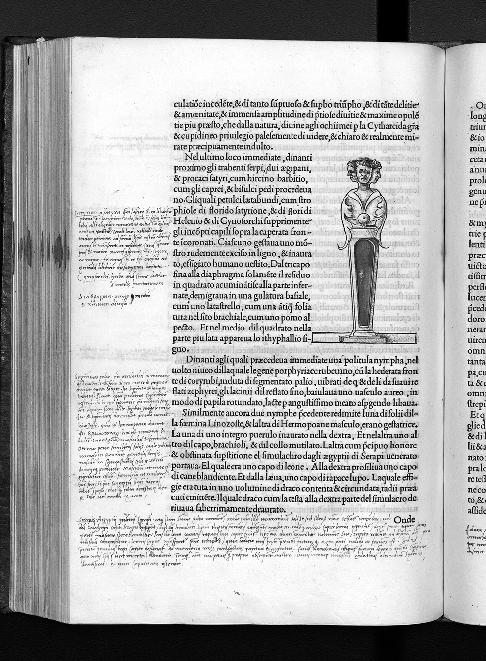 Folio z4r
