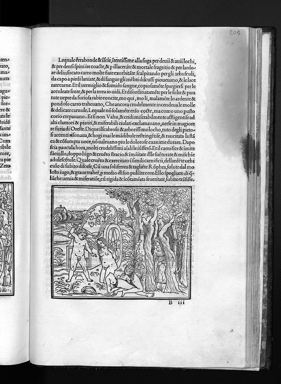Folio D5v