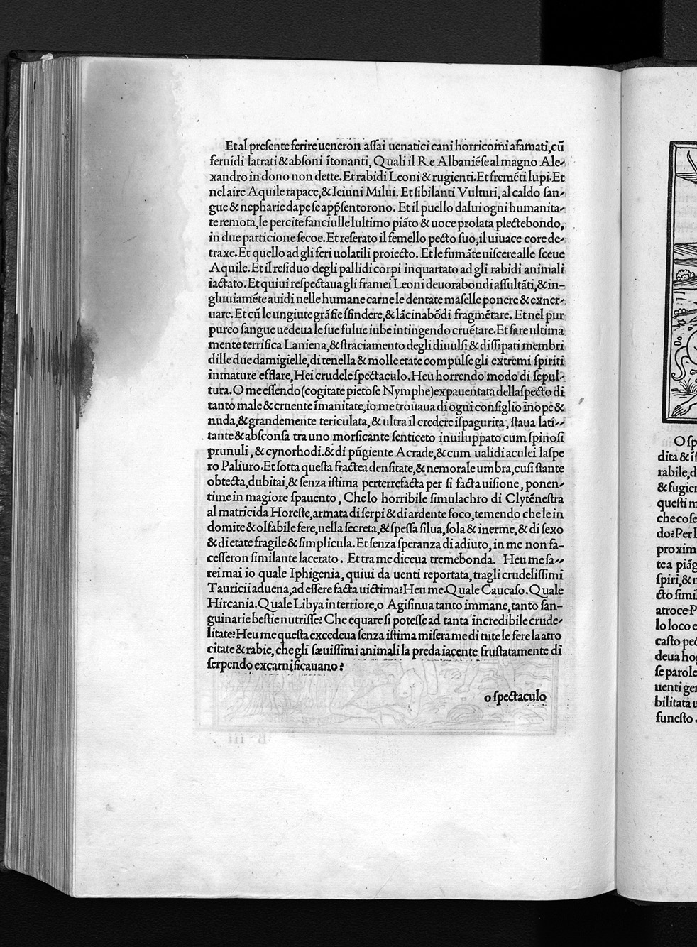Folio D5v
