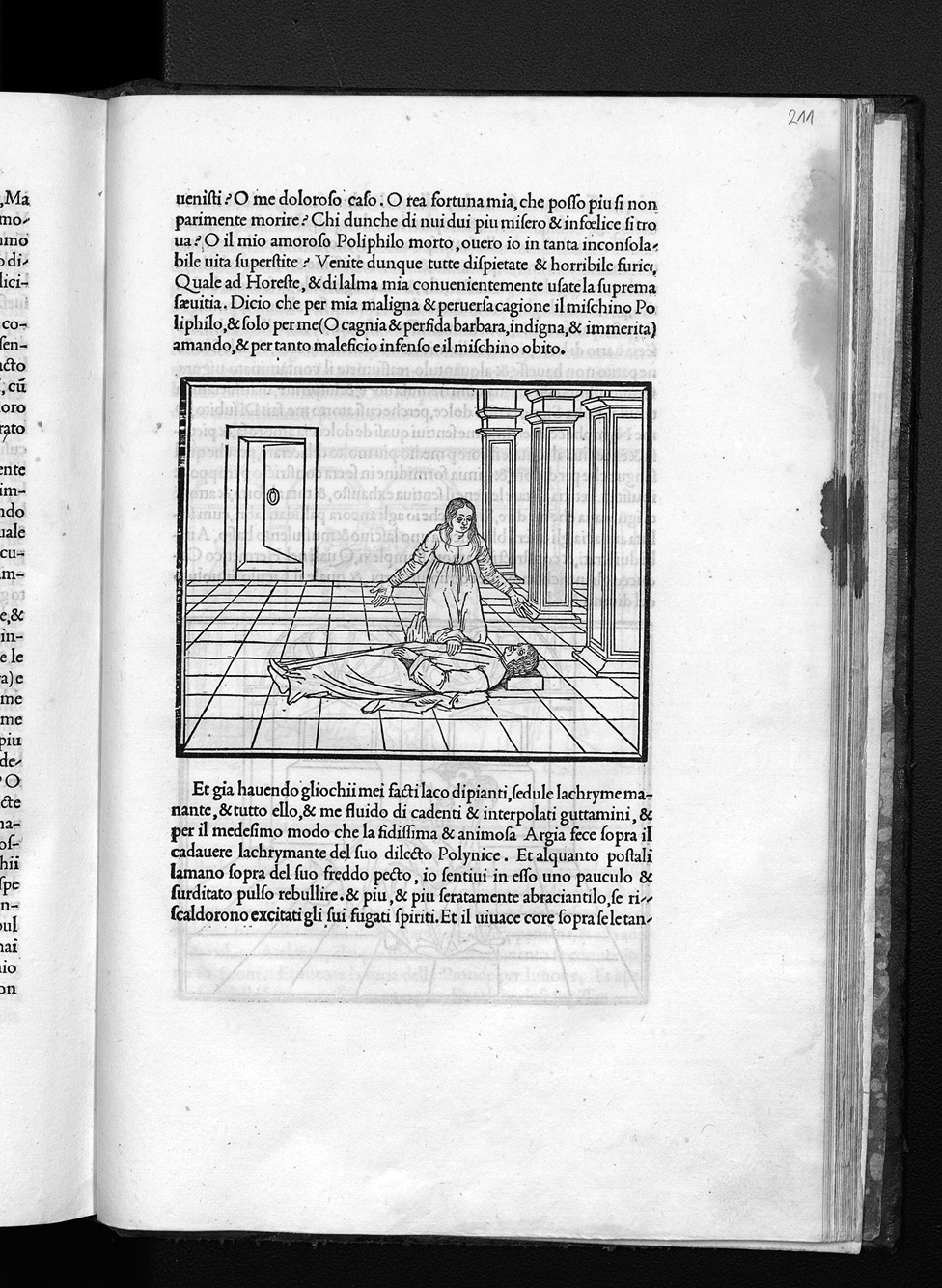 Folio E7v