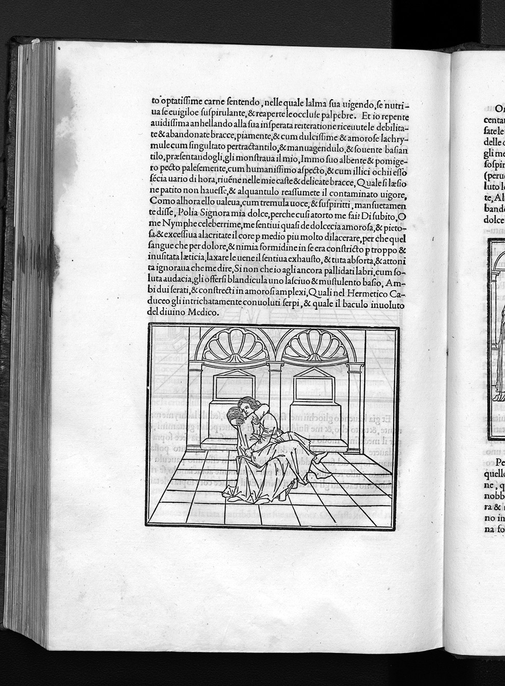 Folio E7v
